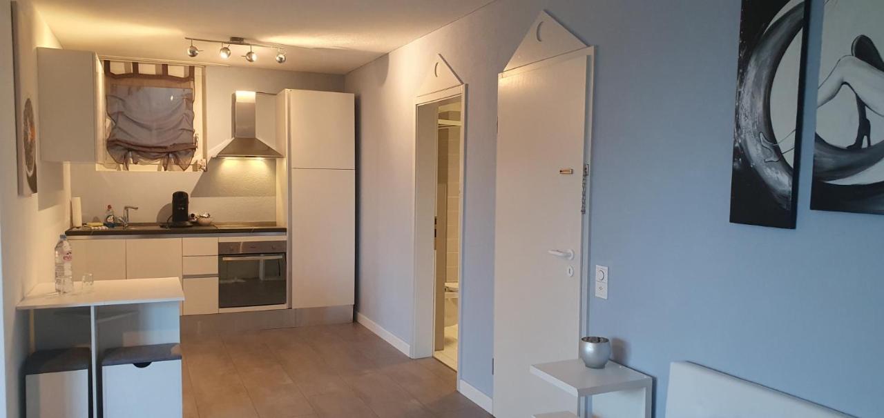 Ferienwohnung Am Bodensee Mit Seesicht Und Wellness 罗尔沙赫伯格 外观 照片